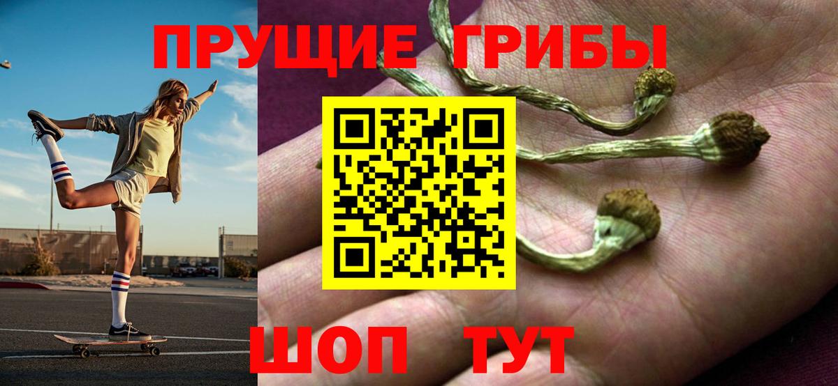 Анапа  Галлюциногенные грибы Psilocybe  Вход с VPN  Псилоцибиновые грибы прущие грибы 